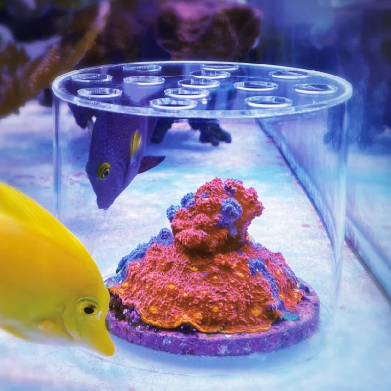 Pet Supplies Fish - Vastocean Akvaryum Akrilik Mercan Besleyici Başlığı