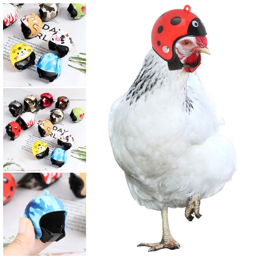 Pet X Supplies & Tack Howell Mi - ABS Komik Evcil Hayvan Malzemeleri Evcil