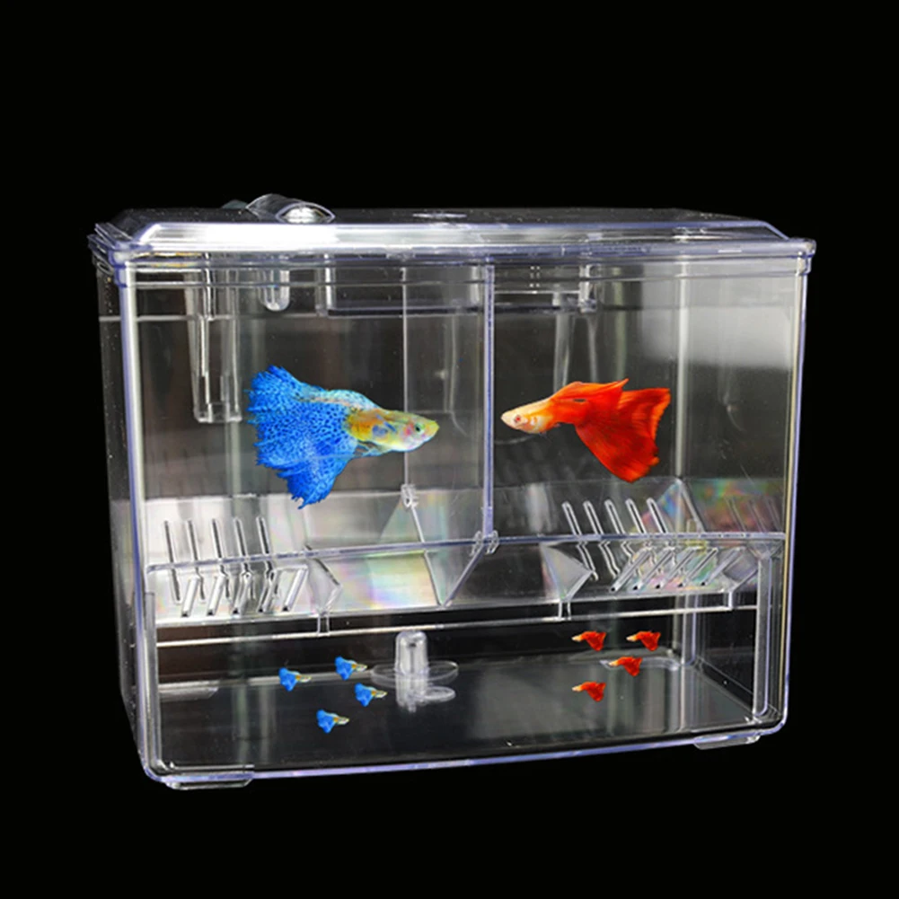 Akvaryum Balık Yetiştirme Kutu - Pet Supplies Fish incelemesi ve fiyatı