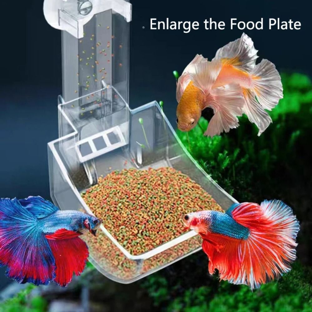 Şeffaf Akvaryum Balık Tankı Be - Pet Supplies Fish incelemesi ve fiyatı