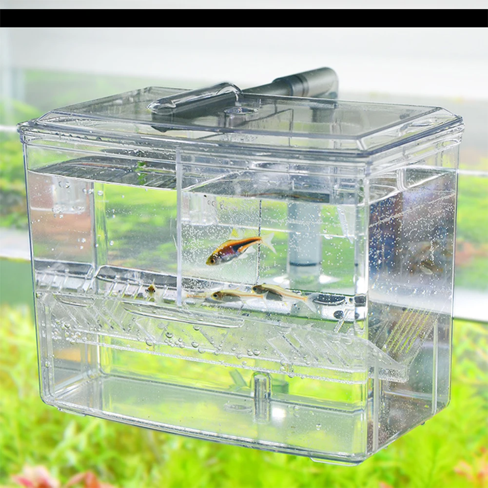 1.25L 2.5L Akvaryum Balık Yeti - Pet Supplies Fish incelemesi ve fiyatı