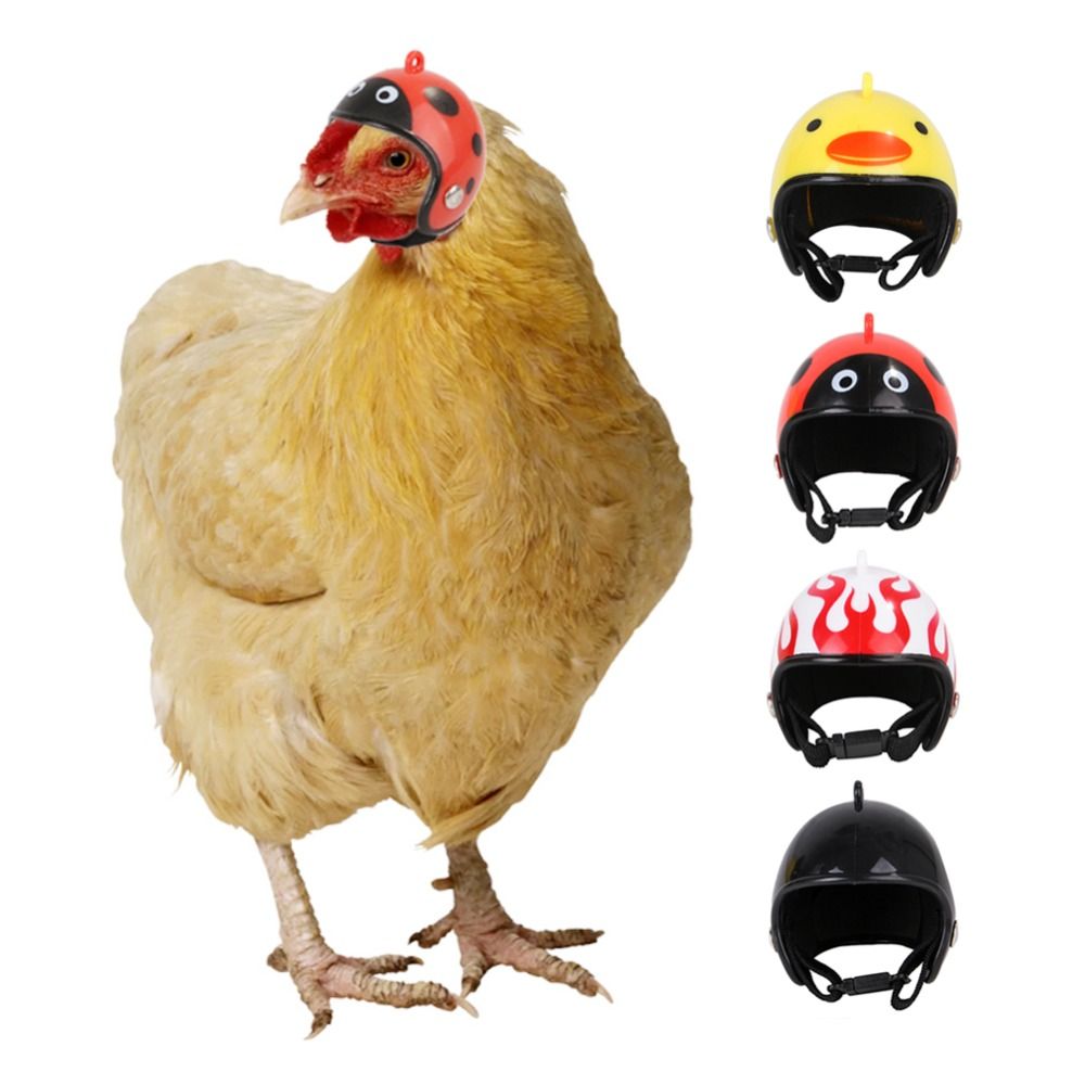 ABS Evcil Hayvan Malzemeleri K - Pet X Supplies & Tack Howell Mi incelemesi ve fiyatı